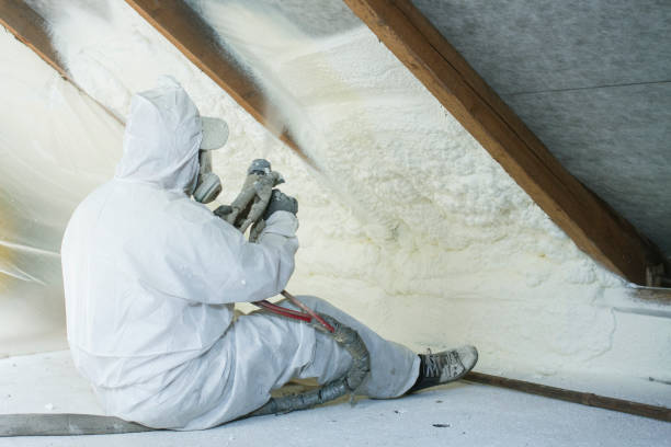 Types of Insulation We Offer in Saxon, SC